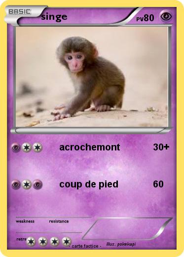 Pokemon singe
