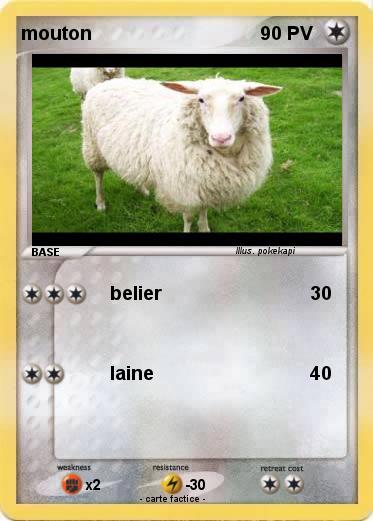 Pokemon mouton