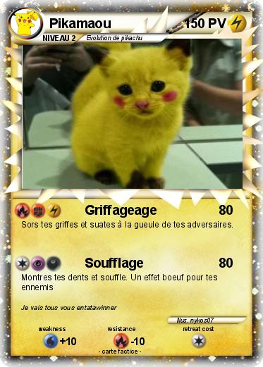 Pokemon Pikamaou