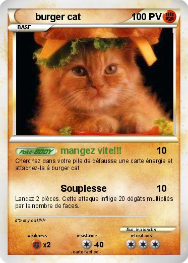 Pokemon burger cat