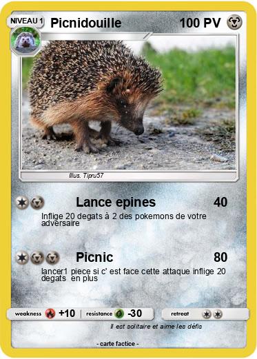 Pokemon Picnidouille