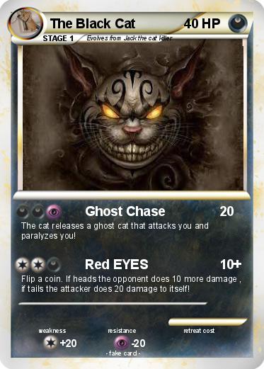 Pokemon The Black Cat