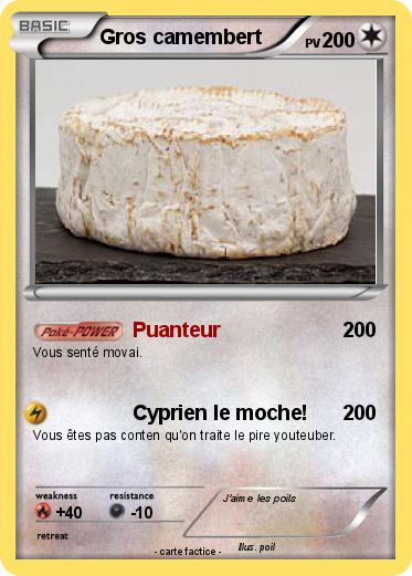 Pokemon Gros camembert