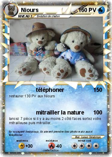 Pokemon Niours