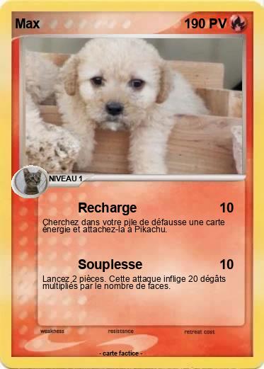 Pokemon Max