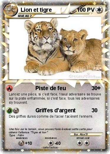Pokemon Lion et tigre