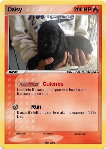 Pokemon Daisy