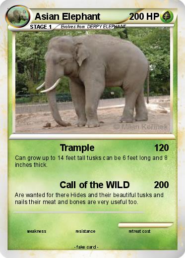 Pokemon Asian Elephant