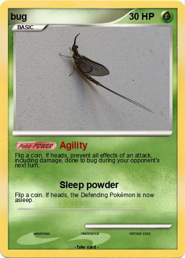 Pokemon bug