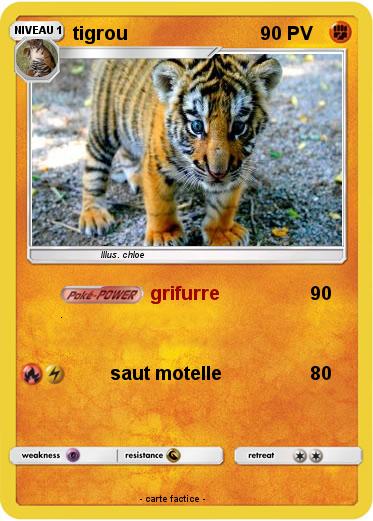 Pokemon tigrou