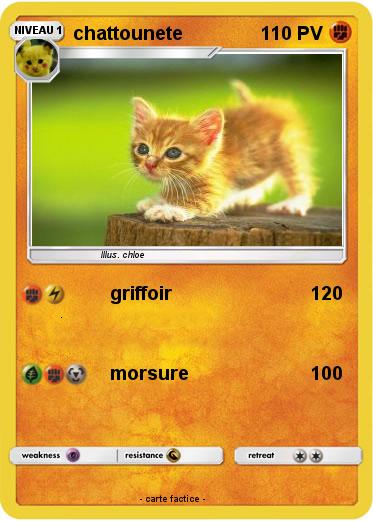 Pokemon chattounete