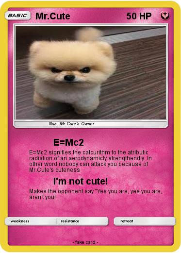 Pokemon Mr.Cute