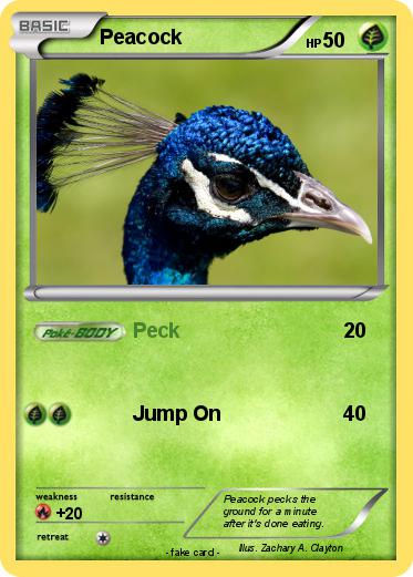 Pokemon Peacock