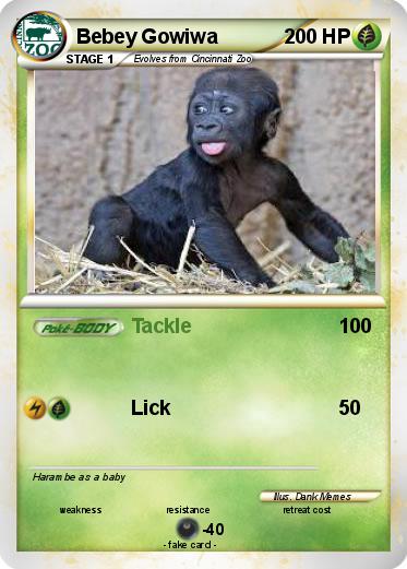 Pokemon Bebey Gowiwa