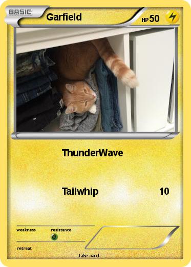Pokemon Garfield
