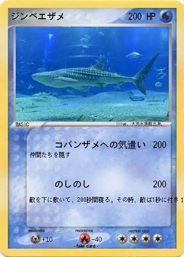 Pokemon ジンベエザメ