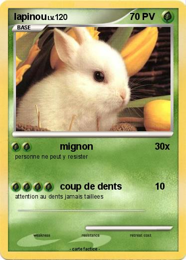 Pokemon lapinou