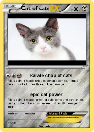 Pokemon Cat of cats