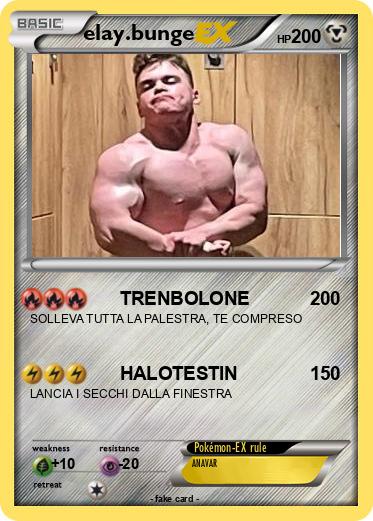Pokemon elay.bunge