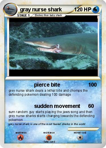 Pokemon gray nurse shark