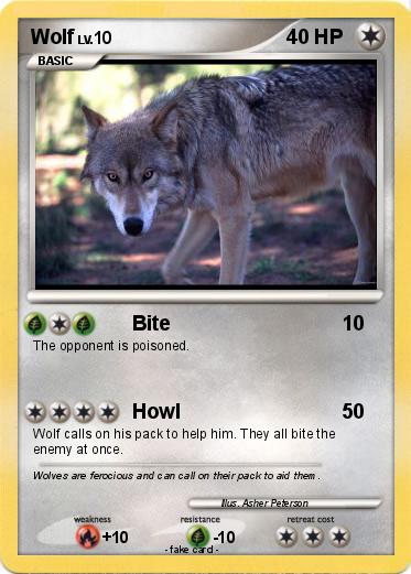 Pokemon Wolf