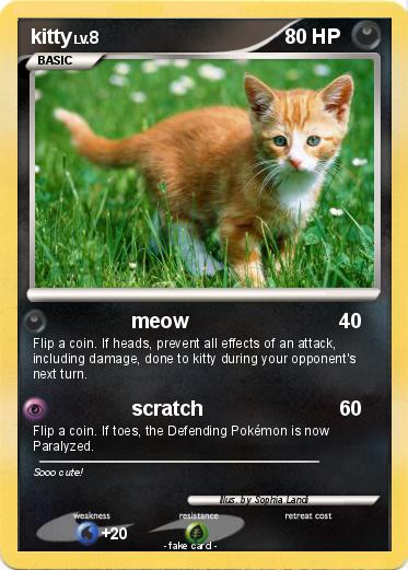 Pokemon kitty
