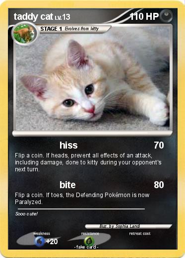 Pokemon taddy cat