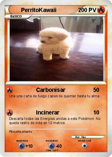 Pokemon PerritoKawaii