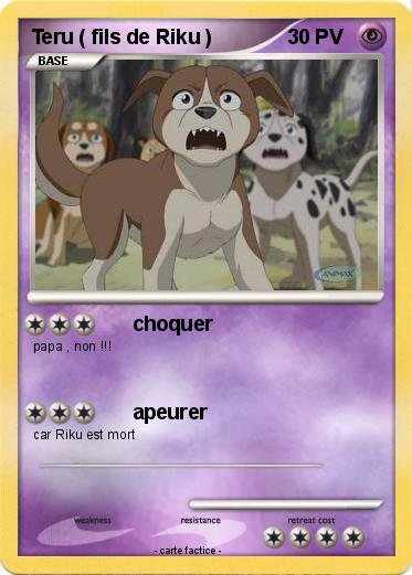 Pokemon Teru ( fils de Riku )