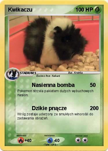 Pokemon Kwikaczu