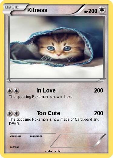 Pokemon Kitness