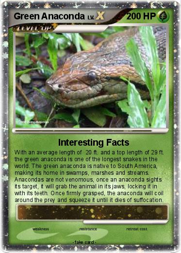 Pokemon Green Anaconda