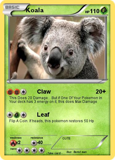Pokemon Koala