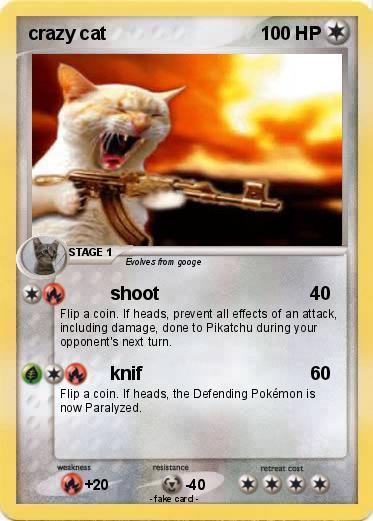 Pokemon crazy cat