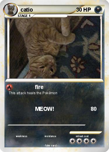 Pokemon catio