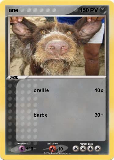 Pokemon ane