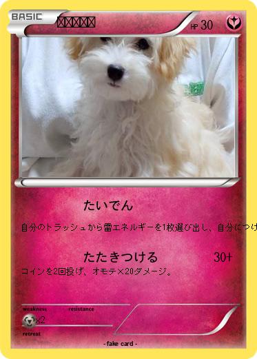 Pokemon ピカチュウ