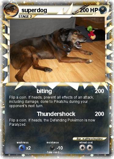 Pokemon superdog