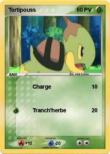 Pokemon Tortipouss