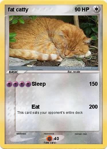 Pokemon fat catty
