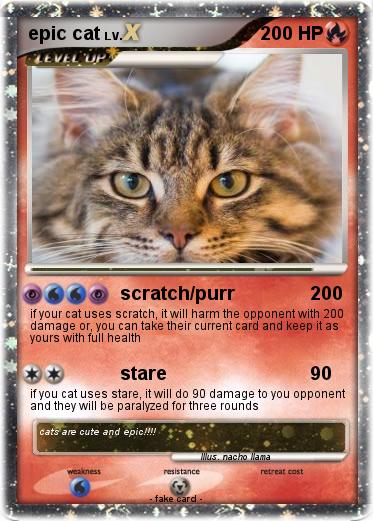 Pokemon epic cat