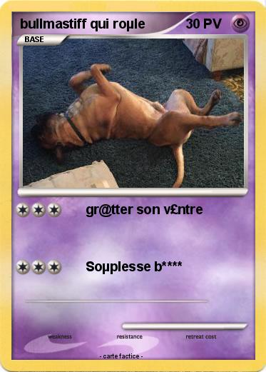 Pokemon bullmastiff qui roµle
