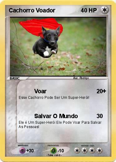Pokemon Cachorro Voador