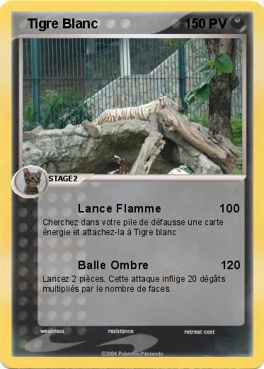 Pokemon   Tigre Blanc                          