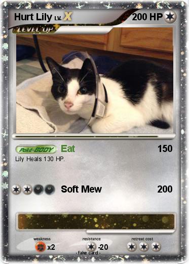 Pokemon Hurt Lily