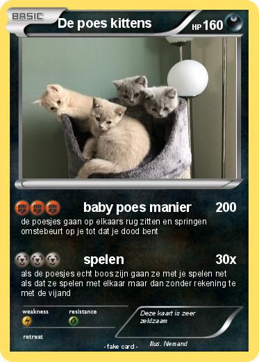 Pokemon De poes kittens