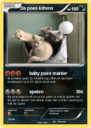 Pokemon De poes kittens