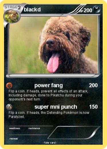 Pokemon blackd