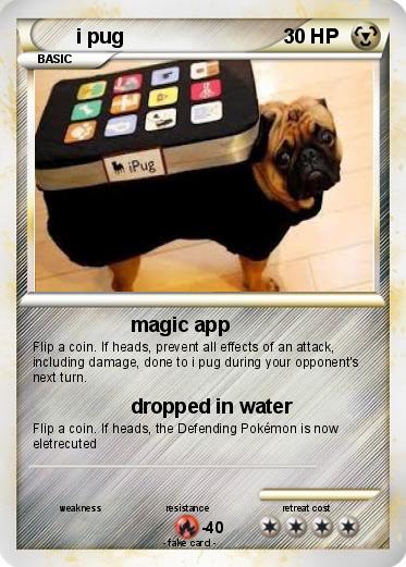 Pokemon i pug