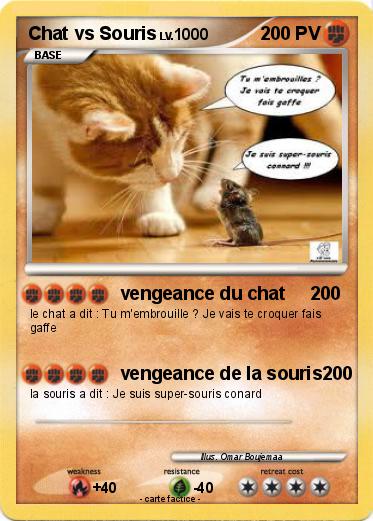 Pokemon Chat vs Souris